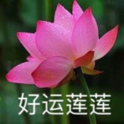 “梦百合杯”李轩豪夺冠 中国围棋世界冠军达50个